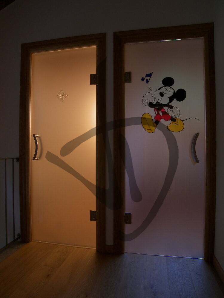 Porte de salon en verre satiné sur mesure avec décoration  - Portes saloon