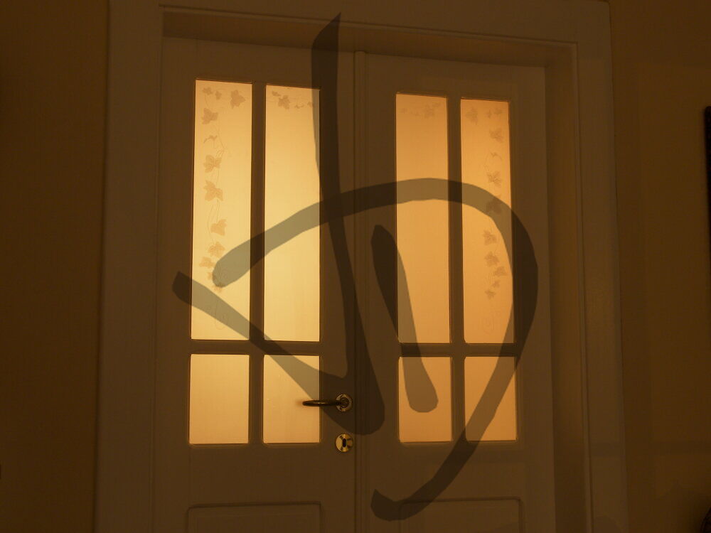 Verre décoré sur mesure pour portes avec lierre - Verres décorés pour portes